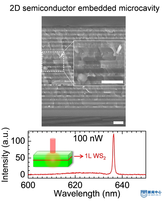 【先材投稿1109】《自然·通讯》报道黄维院士课题组室合作研究新成果2.jpg 【先材投稿1109】《自然·通讯》报道黄维院士课题组室合作研究新成果2.jpg